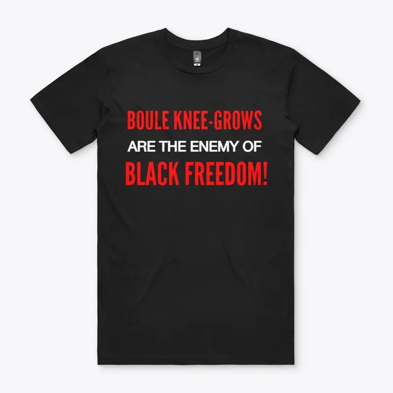 THE ENEMY OF BLACK FREEDOM